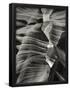 Essential Black