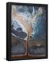 Essential Black