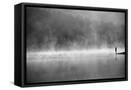 Framed Canvas