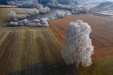 Winter Playground-Jure Kravanja-Laminated Photographic Print