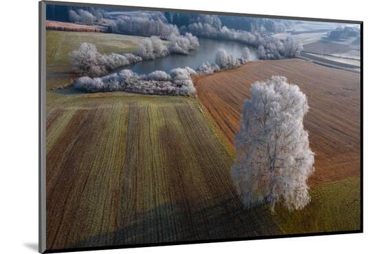 Photographic Print, , large