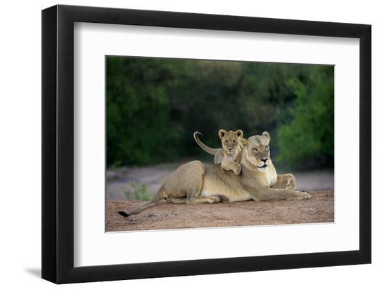 Premium Photographic Print, , large