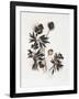 Gramercy Black