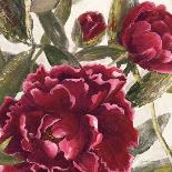 Rustic Blooms-Jurgen Gottschlag-Art Print