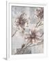 Gramercy White