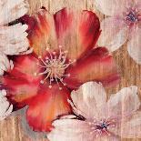 Barnwood Blossoms-Jurgen Gottschlag-Art Print