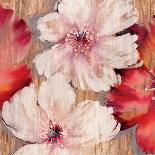 Barnwood Blossoms-Jurgen Gottschlag-Art Print