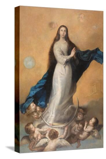 Stretched Canvas Print, , large