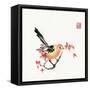 Just A Bird-Nan Rae-Framed Stretched Canvas