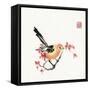 Just A Bird-Nan Rae-Framed Stretched Canvas
