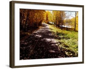 Just A Closer Walk-Ruth Palmer-Framed Art Print