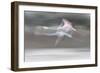 Just a Dream-Martine Benezech-Framed Giclee Print