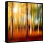 Just a Ripple-Philippe Sainte-Laudy-Framed Stretched Canvas