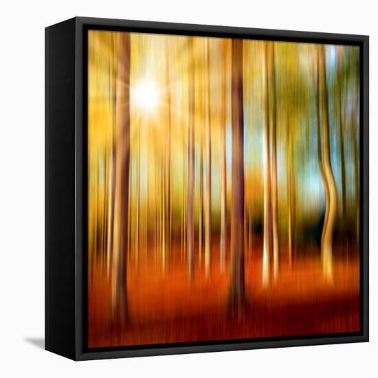 Just a Ripple-Philippe Sainte-Laudy-Framed Stretched Canvas