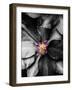 Just a Touch-Heidi Bannon-Framed Photo