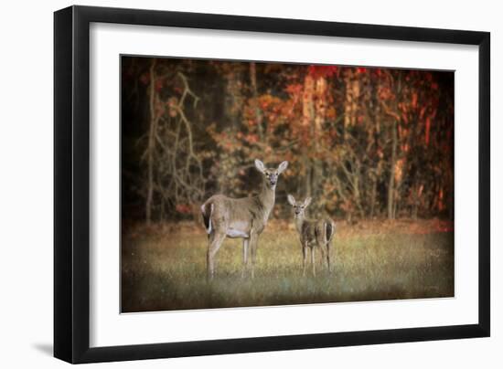 Just after Sunrise-Jai Johnson-Framed Giclee Print