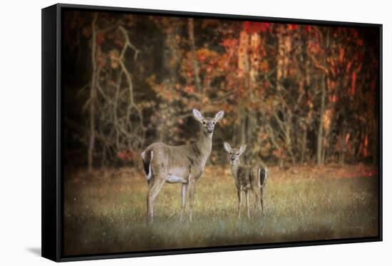 Just after Sunrise-Jai Johnson-Framed Stretched Canvas