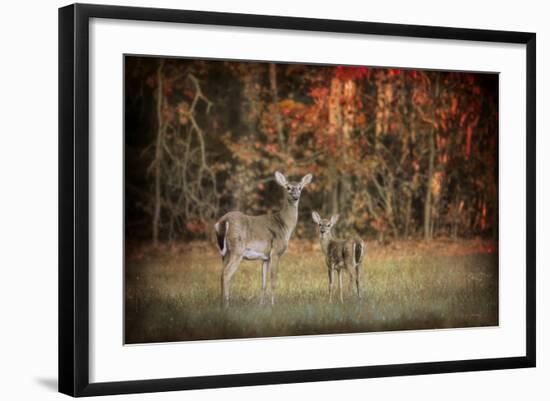 Just after Sunrise-Jai Johnson-Framed Giclee Print