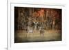 Just after Sunrise-Jai Johnson-Framed Giclee Print