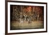 Just after Sunrise-Jai Johnson-Framed Giclee Print