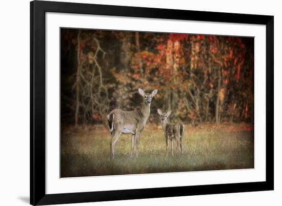 Just after Sunrise-Jai Johnson-Framed Giclee Print