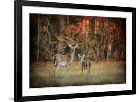 Just after Sunrise-Jai Johnson-Framed Giclee Print