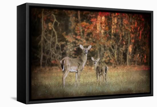 Just after Sunrise-Jai Johnson-Framed Stretched Canvas