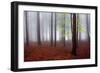 Just Awakened-Kristjan Rems-Framed Photographic Print