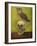 Just Bones 2-Leah Saulnier-Framed Giclee Print