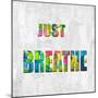 Just Breathe in Color-Jamie MacDowell-Mounted Art Print