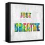 Just Breathe in Color-Jamie MacDowell-Framed Stretched Canvas