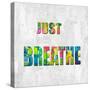 Just Breathe in Color-Jamie MacDowell-Stretched Canvas