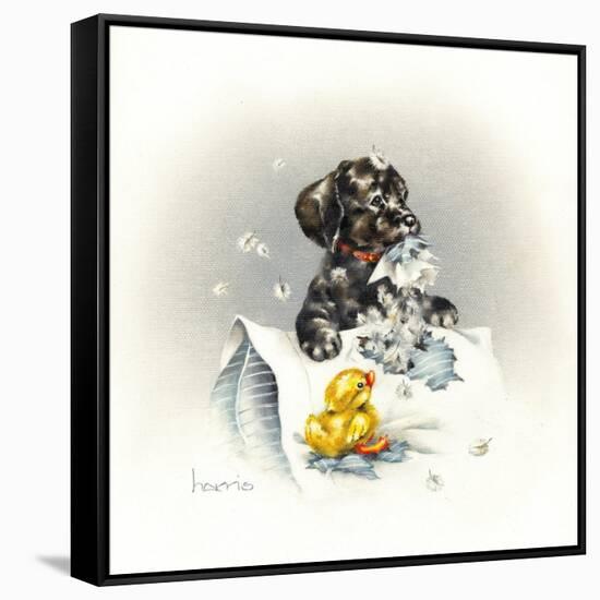 Just Ducky-Peggy Harris-Framed Stretched Canvas