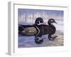 Just Ducky-Rusty Frentner-Framed Giclee Print