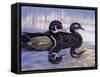 Just Ducky-Rusty Frentner-Framed Stretched Canvas