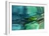 Just floating-Heidi Westum-Framed Photographic Print