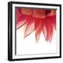Just For You-Incredi-Framed Giclee Print