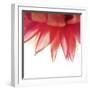 Just For You-Incredi-Framed Giclee Print