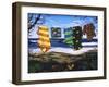 Just Hangin-Scott Westmoreland-Framed Art Print