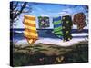 Just Hangin-Scott Westmoreland-Stretched Canvas