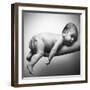 Just Hanging-Incredi-Framed Giclee Print