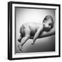 Just Hanging-Incredi-Framed Giclee Print