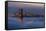 Just in Front of the Sunrise in the Golden Gate Bridge, San Francisco, California-Marco Isler-Framed Stretched Canvas