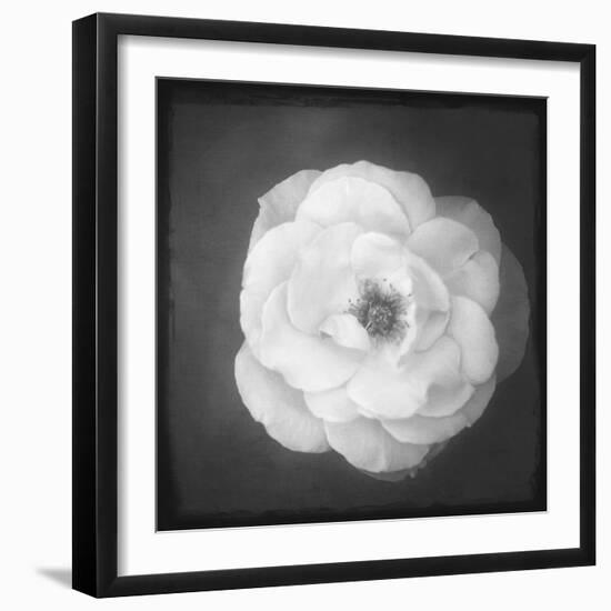 Just Let Go-Philippe Sainte-Laudy-Framed Photographic Print