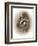 Just Lookin-Peggy Harris-Framed Giclee Print