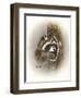 Just Lookin-Peggy Harris-Framed Giclee Print