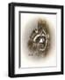 Just Lookin-Peggy Harris-Framed Giclee Print