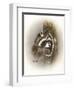 Just Lookin-Peggy Harris-Framed Giclee Print