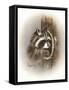 Just Lookin-Peggy Harris-Framed Stretched Canvas