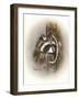 Just Lookin-Peggy Harris-Framed Giclee Print